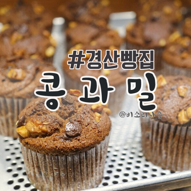 콩과밀 이미지