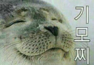 유라인베딩 이미지