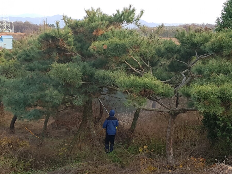 금마조경 이미지