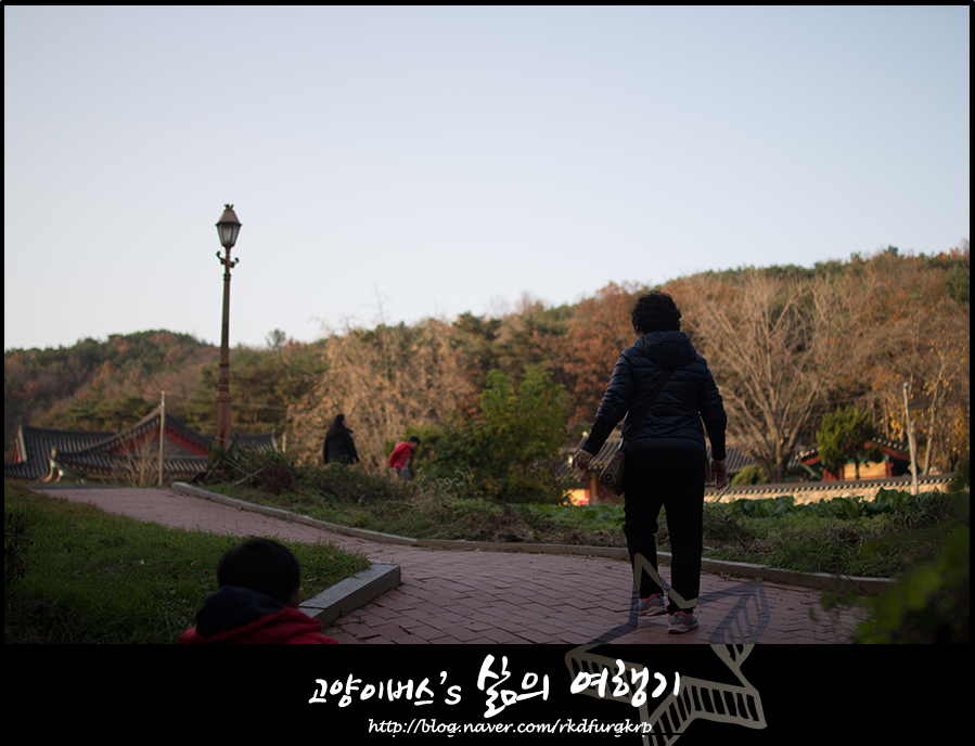 울타리손칼국수 이미지