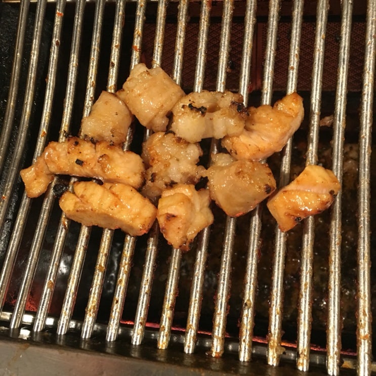 양마니 이미지