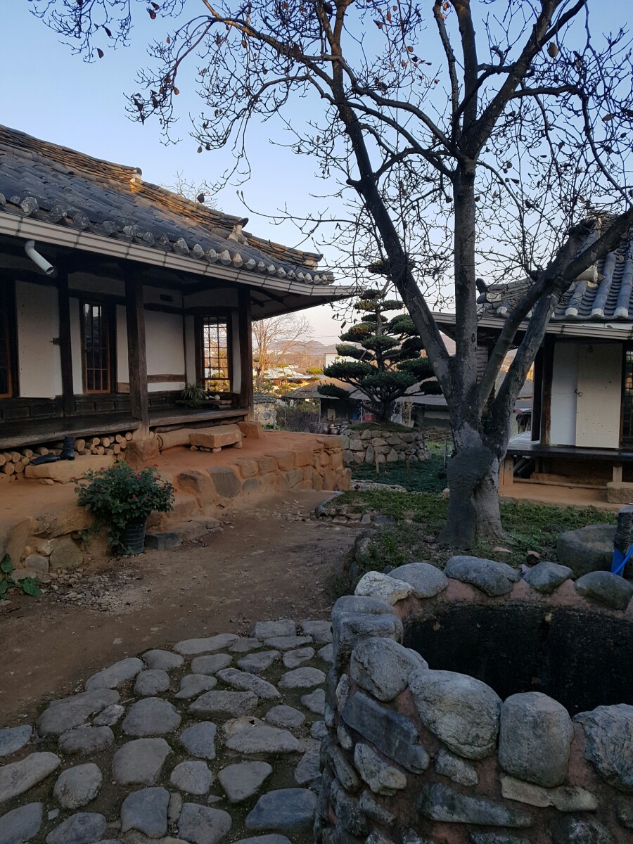 왕궁다원 이미지