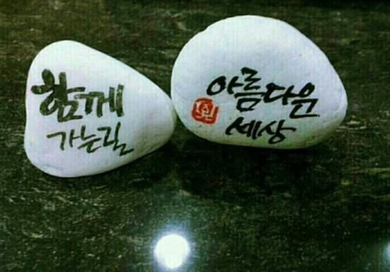 쨍하고회뜨는날 이미지