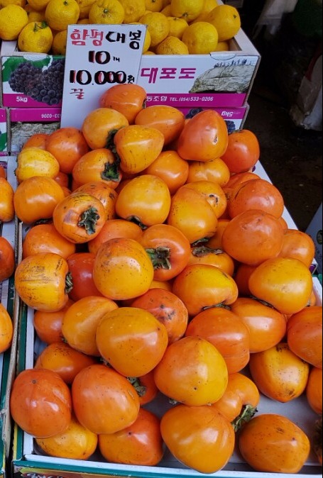해돋이청과 이미지