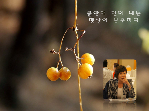 세무법인해청 이미지