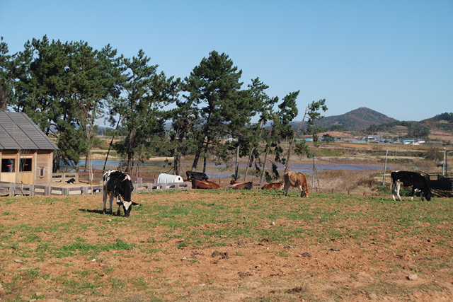 매일유업(주) 평택공장 이미지