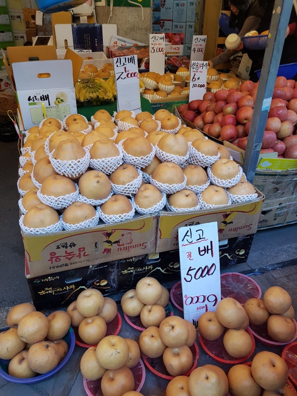 해돋이청과 이미지