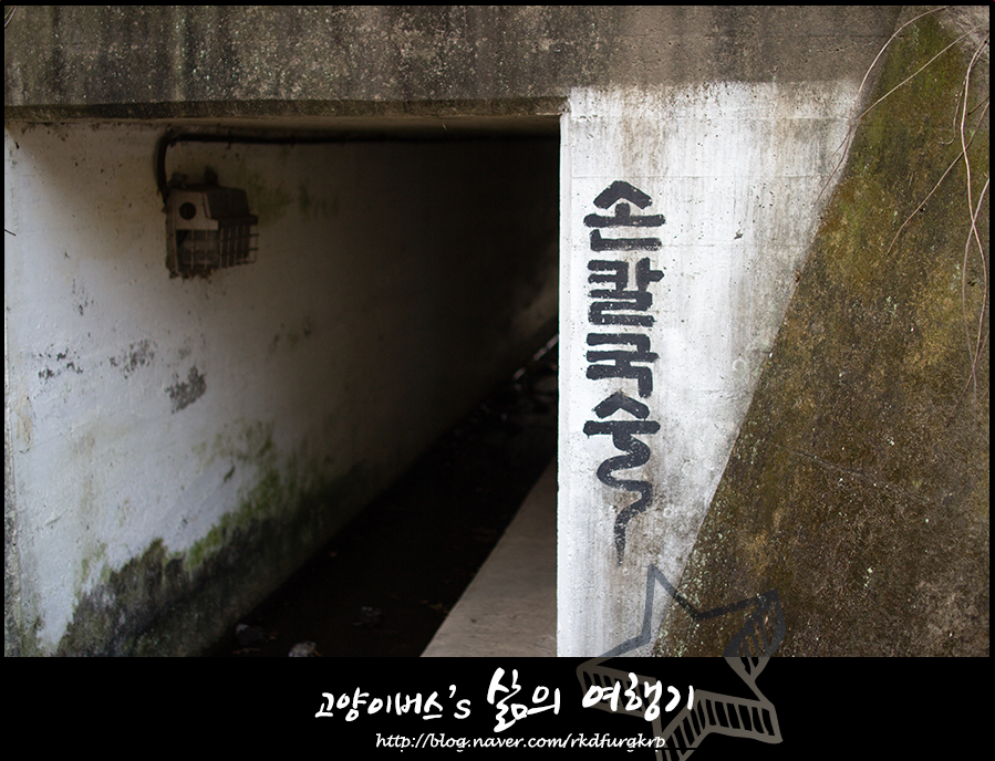울타리손칼국수 이미지