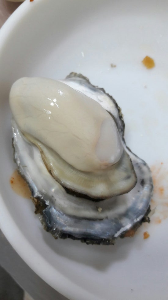 금호수산 이미지