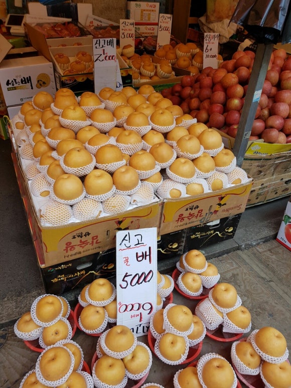 해돋이청과 이미지