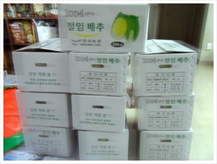 천사화원천사농원 이미지