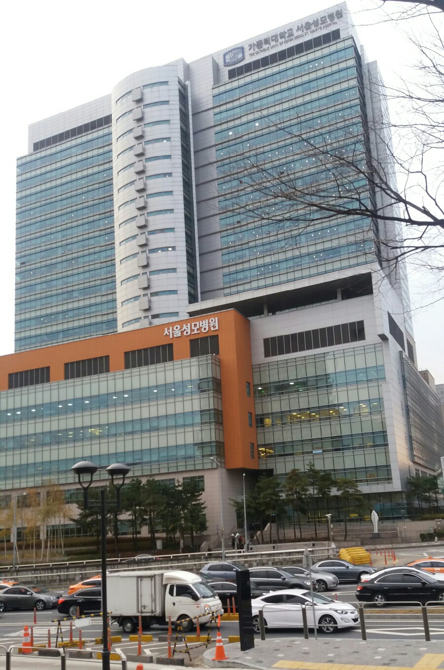 강남성모 이미지
