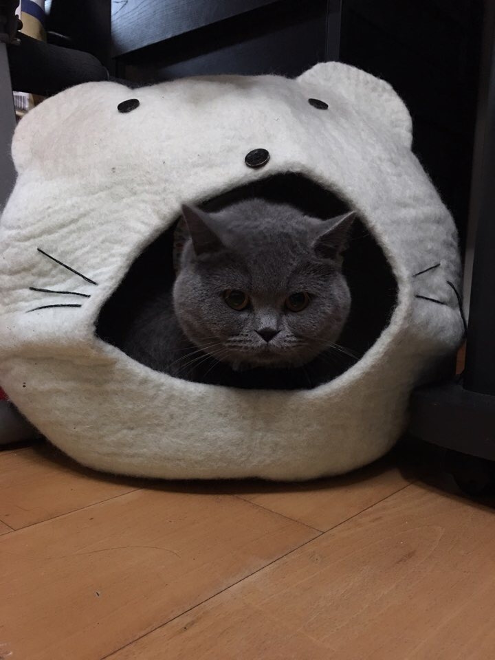 숨숨집 이미지