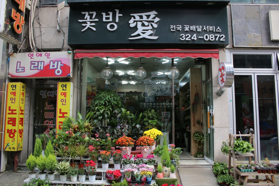 꽃방愛 이미지