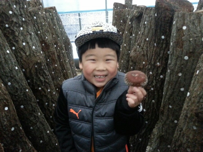 지리산천령표고농원 이미지