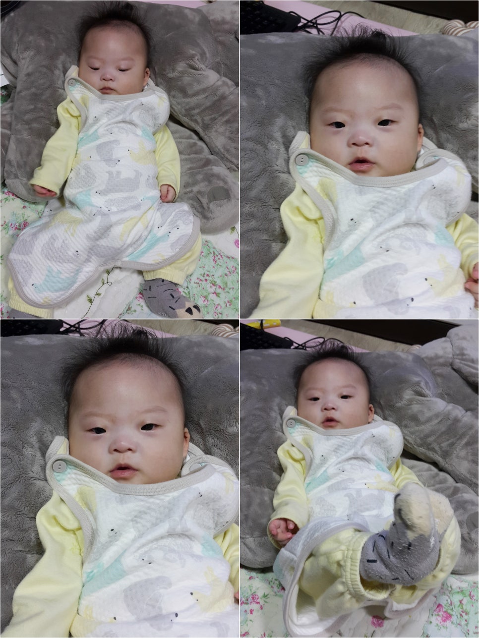롱다리디스코 이미지