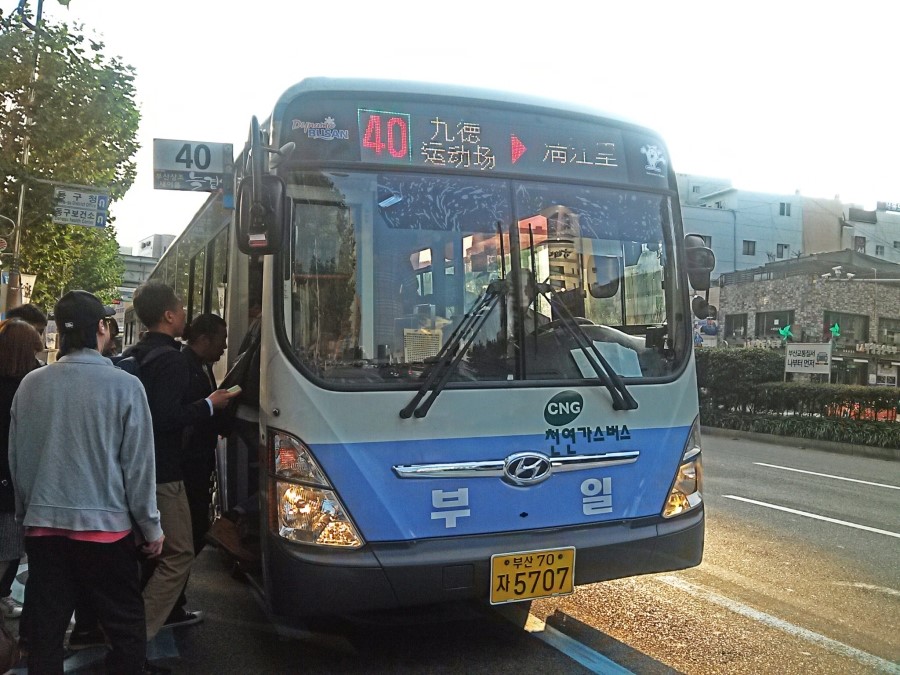 동신스폰지 이미지