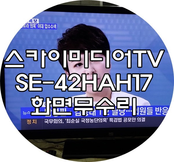 미디어스카이 이미지
