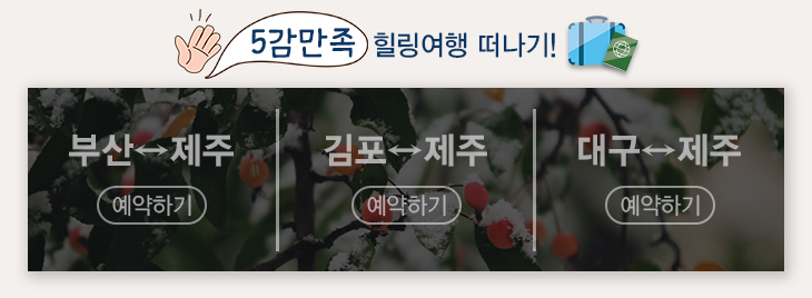 모바일제주 이미지