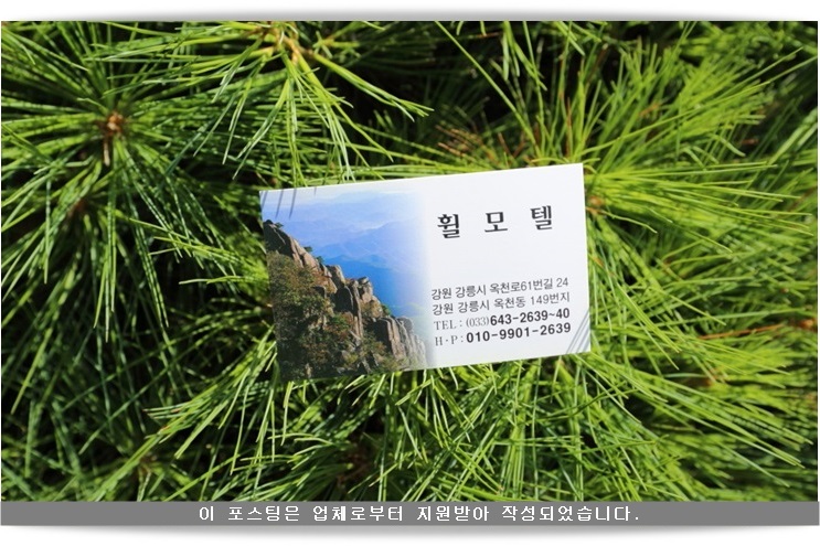 휠모텔 이미지