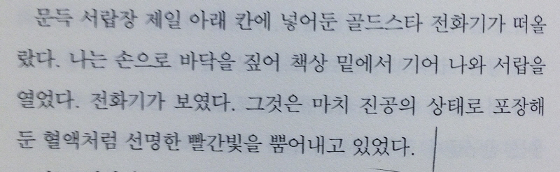 골드스타 이미지