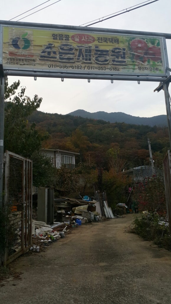 소은재농원 이미지