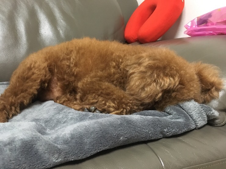 썬더치킨4호점 이미지