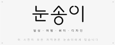 피짜이올라 이미지