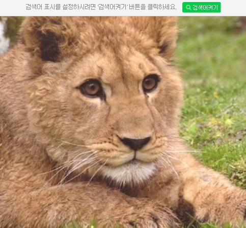 건우전자 이미지