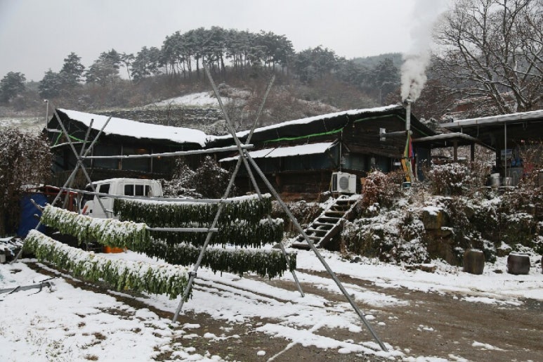 라이브풍경민박 이미지
