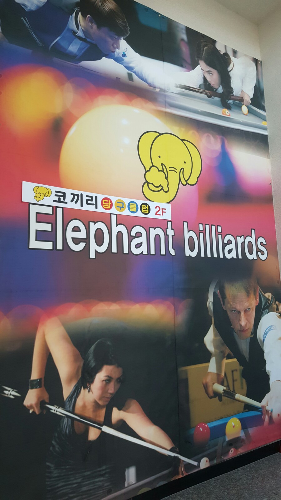 코끼리당구클럽 이미지