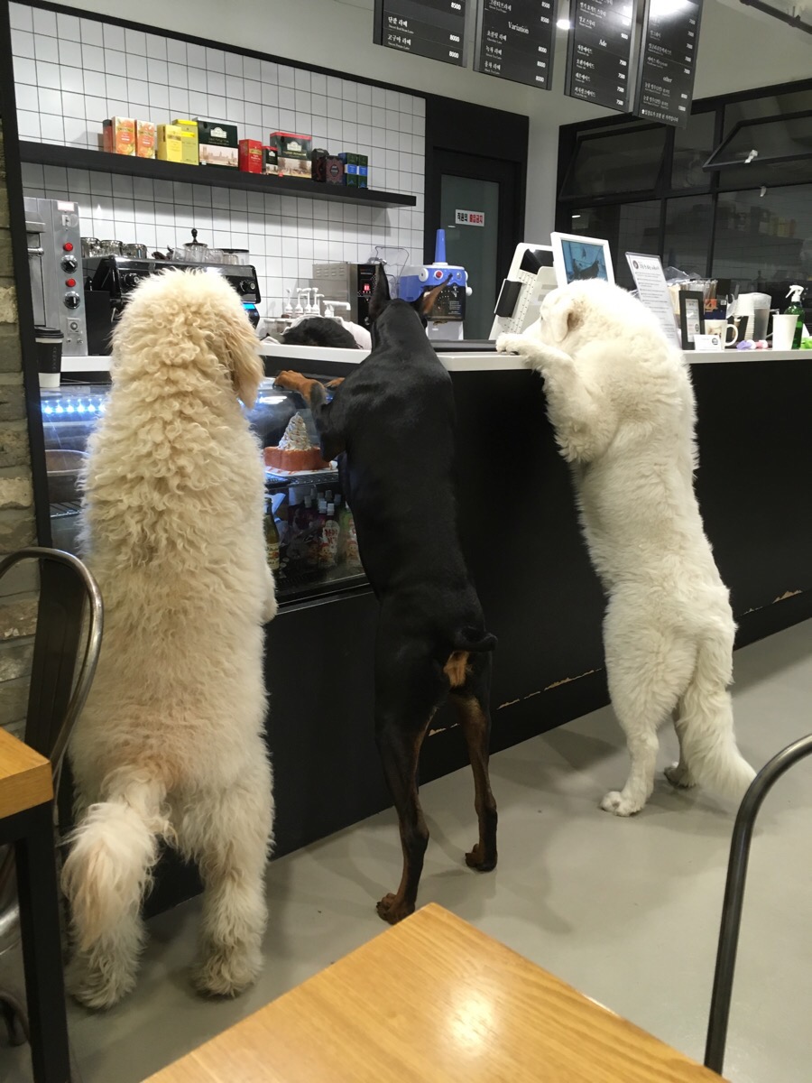 카페구름 이미지