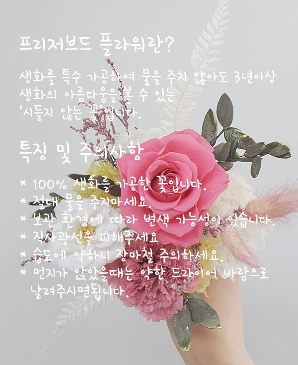 수아플라워 이미지