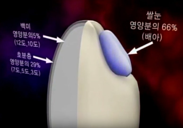 옛밥사랑 이미지