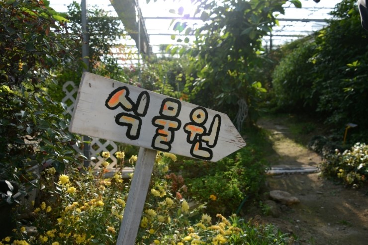 원주식물원 이미지
