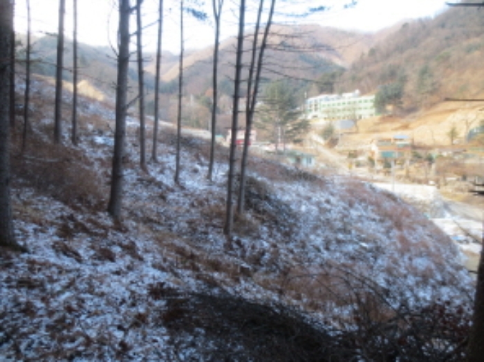 가평군-35 이미지