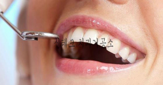 신테크 이미지
