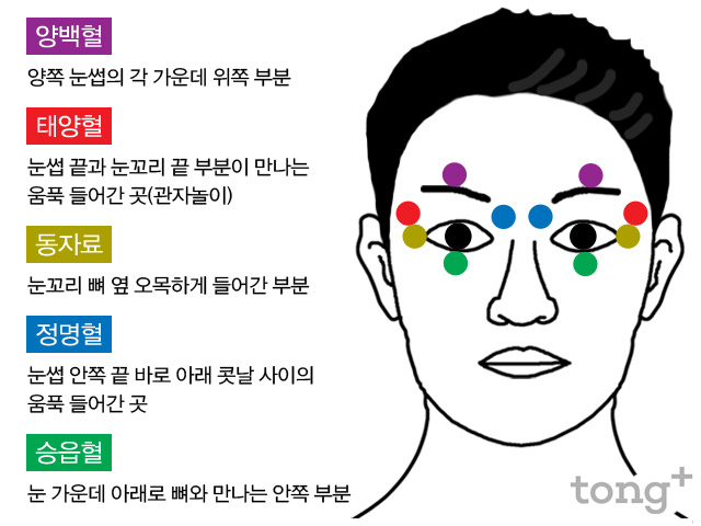 눈피로에 좋은 혈(태양혈,정명혈,양백혈,승읍혈) : 네이버 블로그