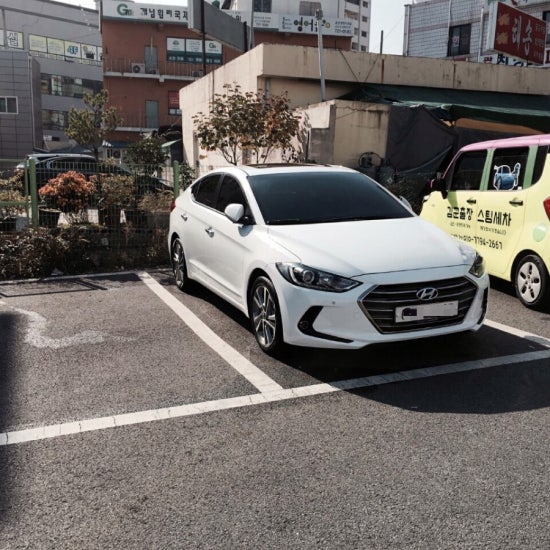김군스팀세차 이미지