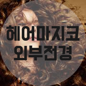 헤어마지코 이미지