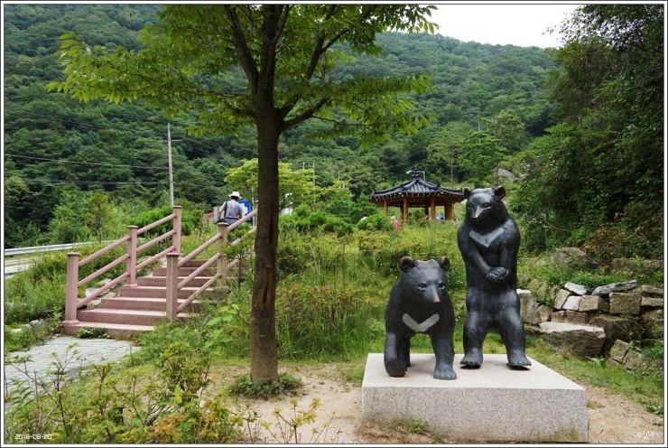 매일홍 이미지