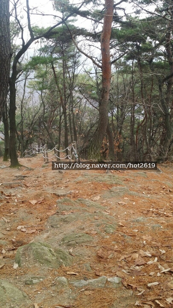 민속전포차 이미지