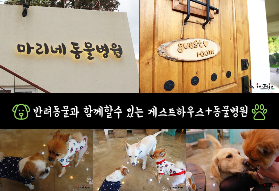 마리네민박 이미지