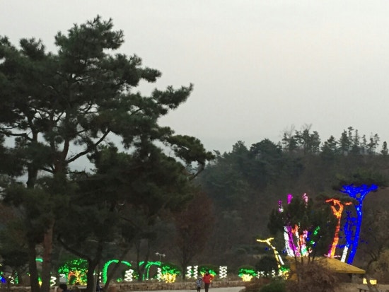 힐조 이미지