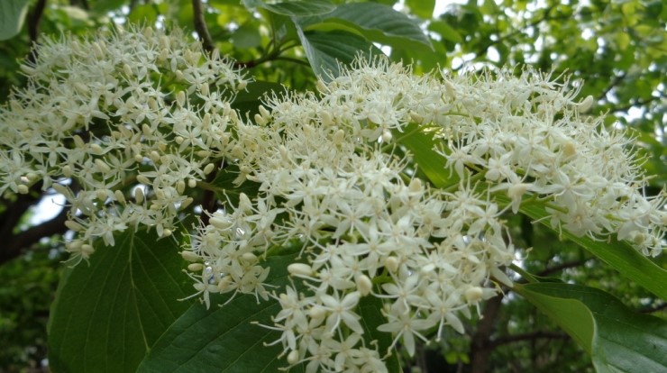 산당 이미지