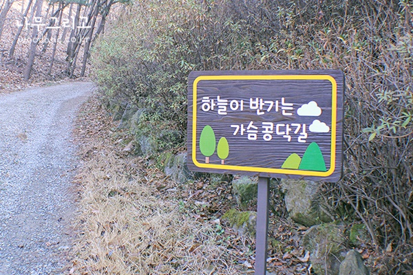 양실유치원 이미지