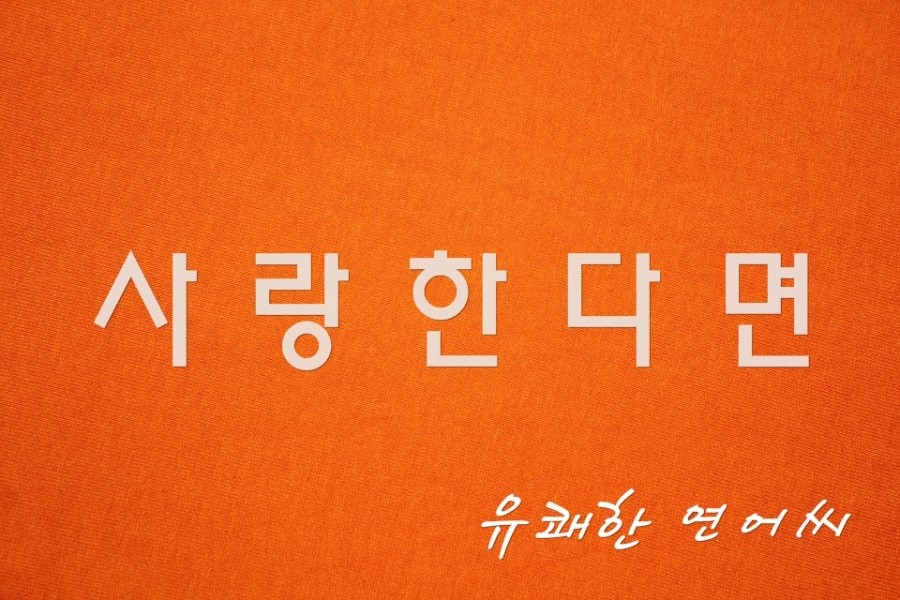 유쾌한연어씨 이미지