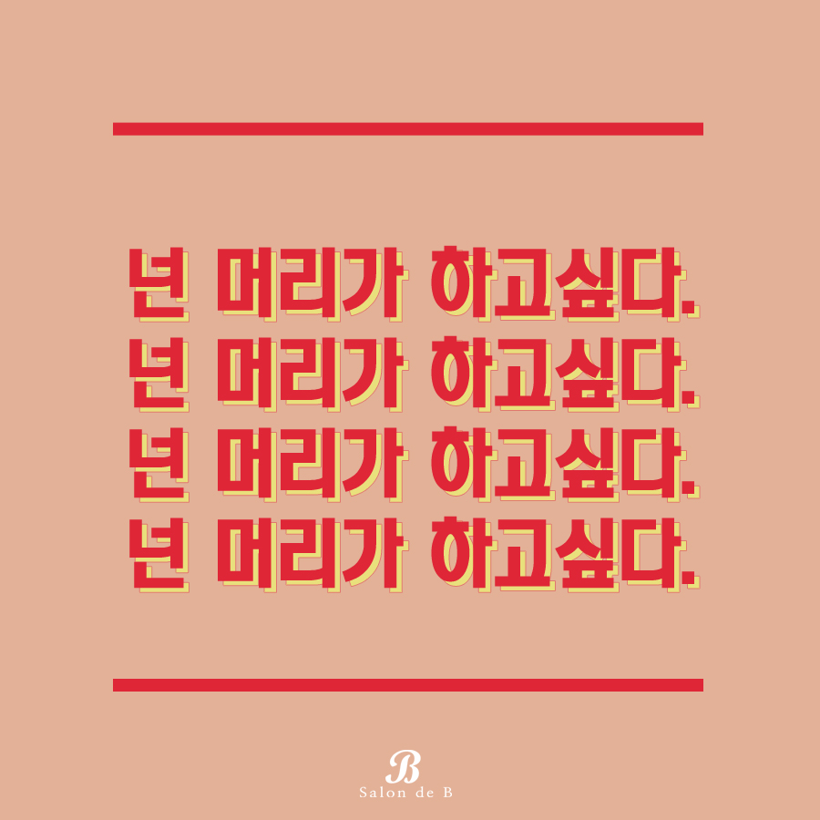 살롱드비 이미지