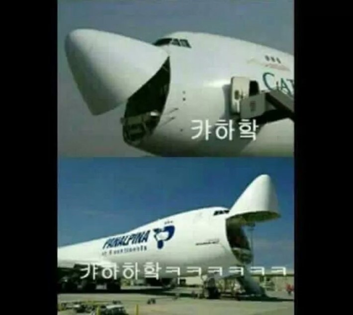 일만한우 이미지