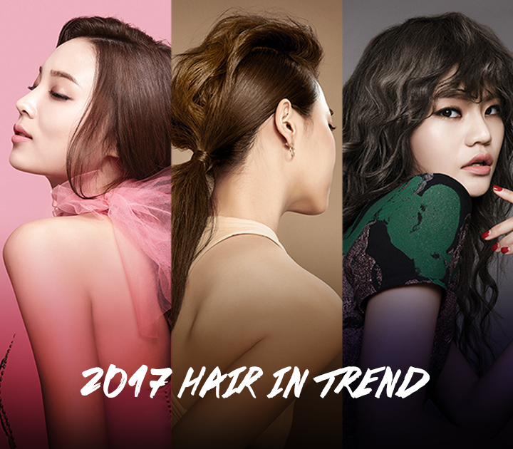 인프로페셔널 이미지
